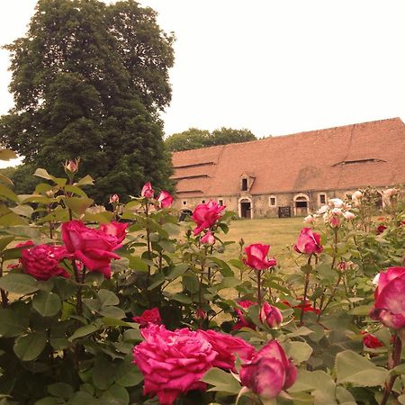 Studniska Horse Centrum Exterior foto