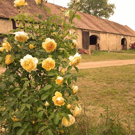 Studniska Horse Centrum Exterior foto