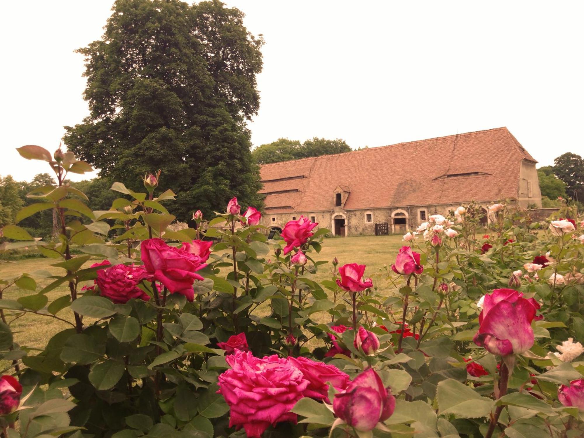 Studniska Horse Centrum Exterior foto