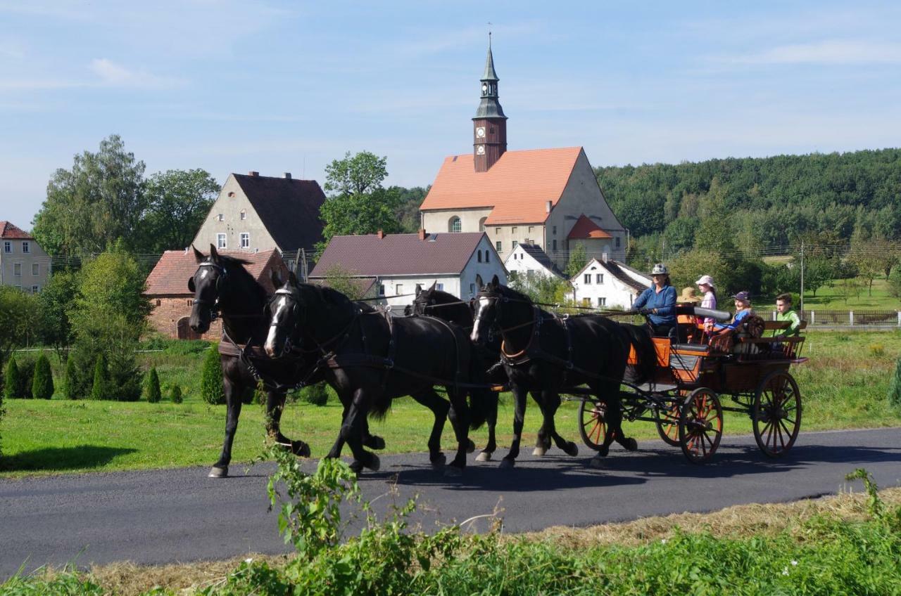 Studniska Horse Centrum Exterior foto