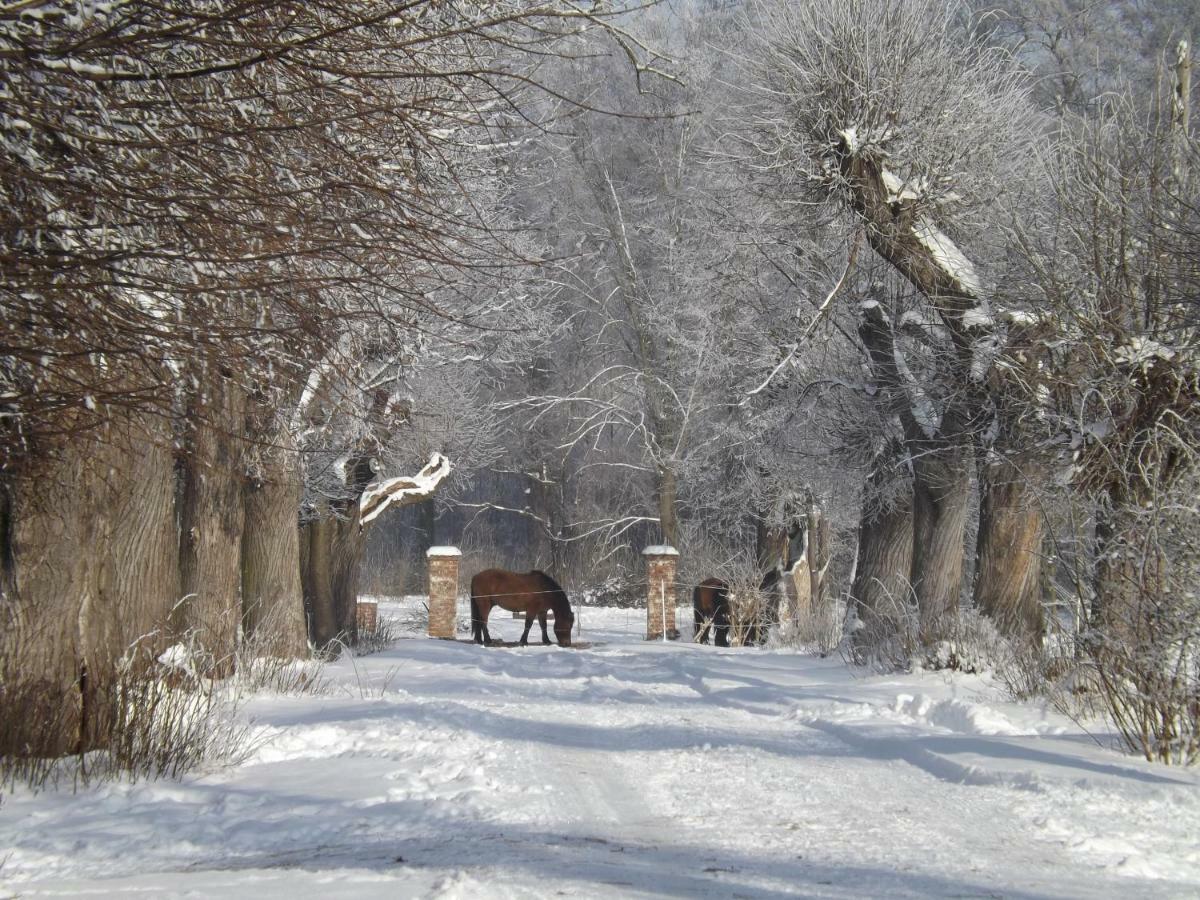 Studniska Horse Centrum Exterior foto