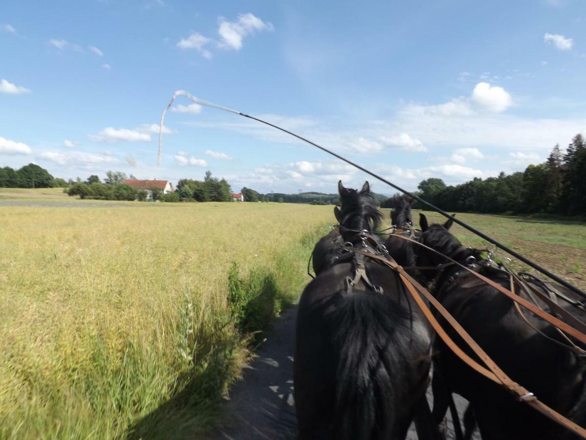 Studniska Horse Centrum Exterior foto