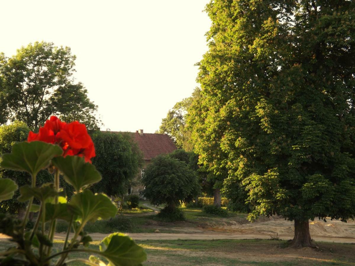 Studniska Horse Centrum Exterior foto