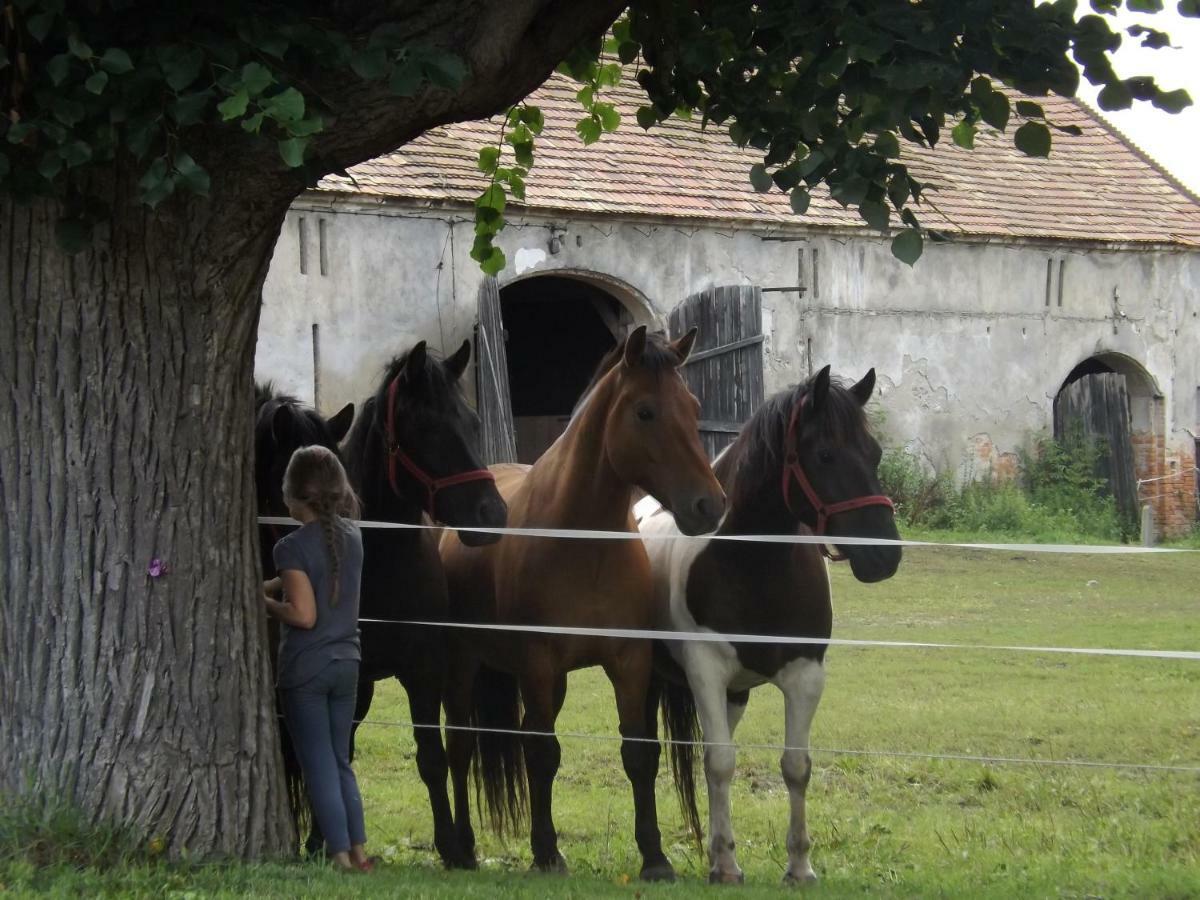 Studniska Horse Centrum Exterior foto