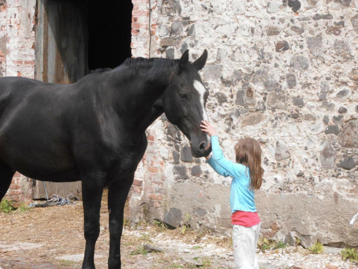 Studniska Horse Centrum Exterior foto