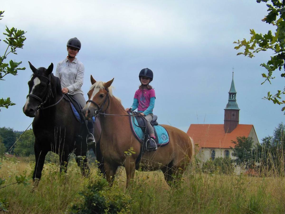 Studniska Horse Centrum Exterior foto