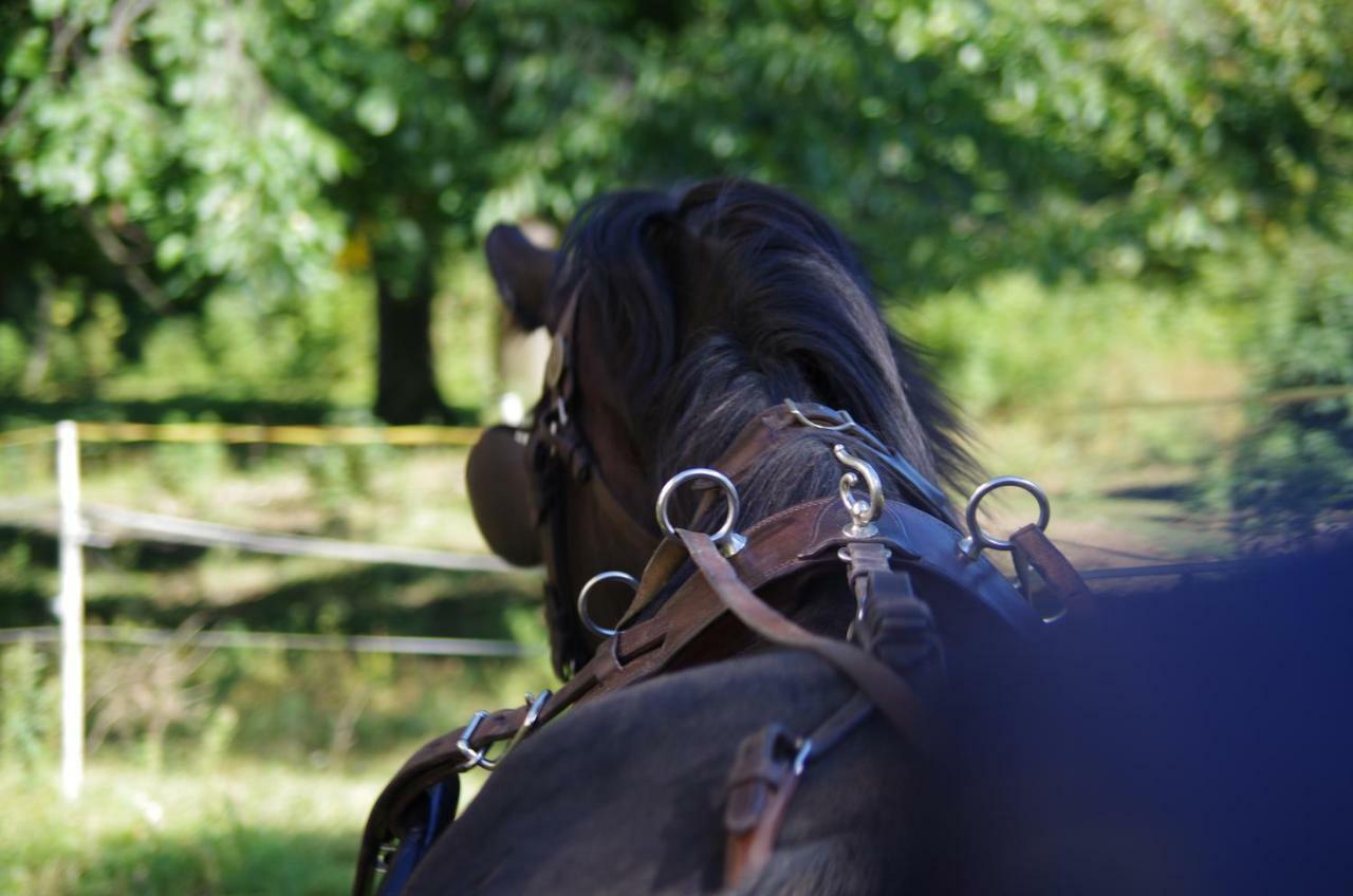 Studniska Horse Centrum Exterior foto