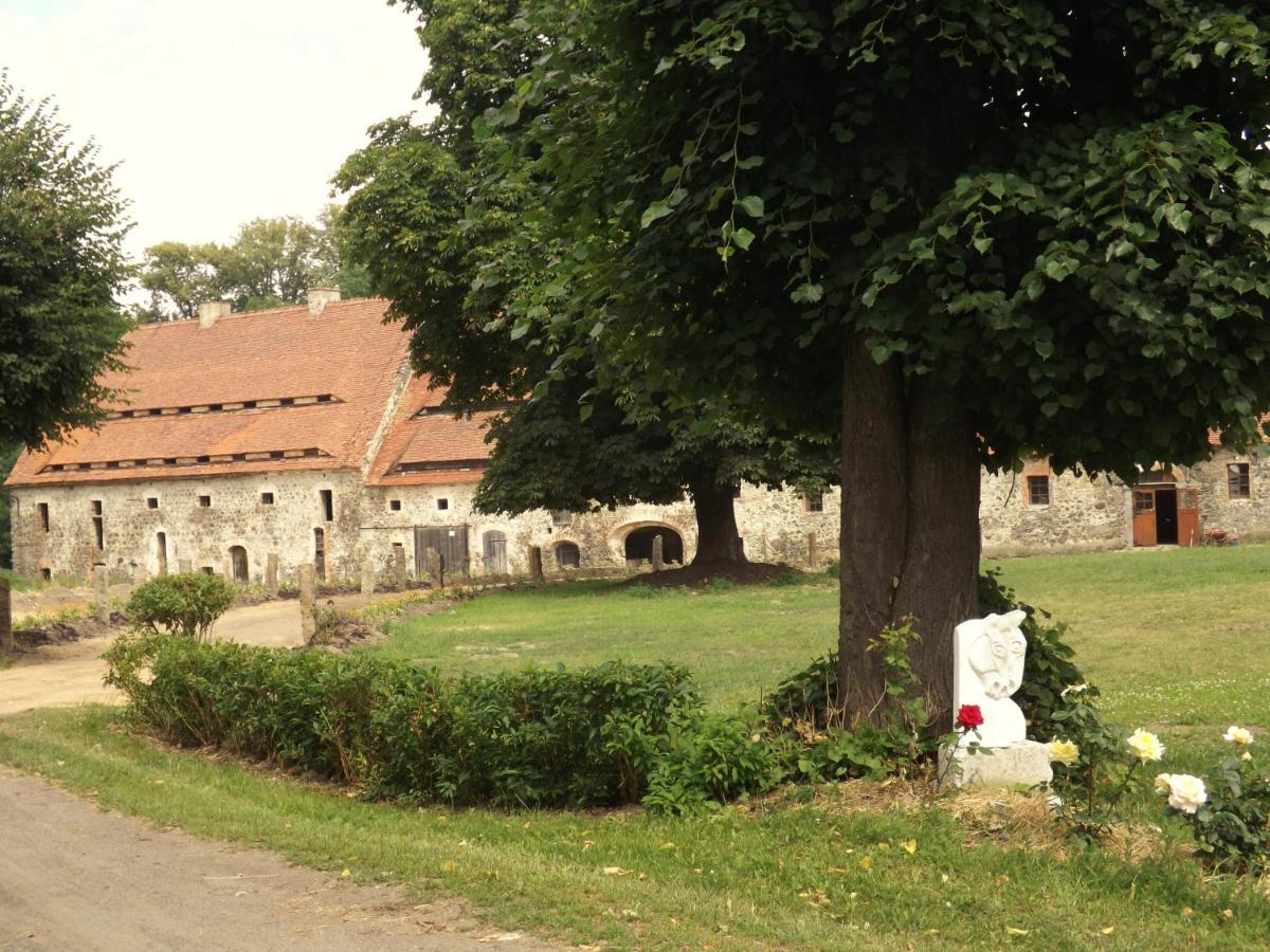 Studniska Horse Centrum Exterior foto