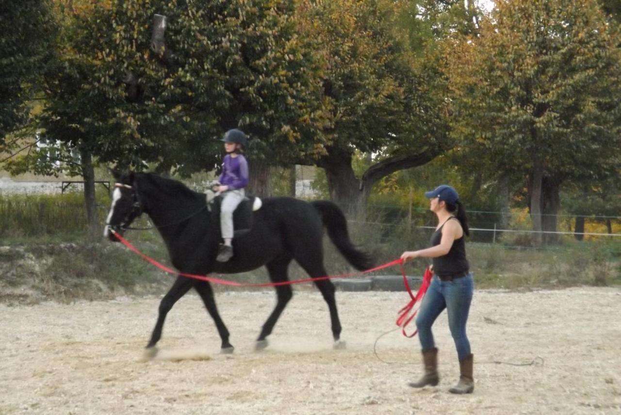 Studniska Horse Centrum Exterior foto